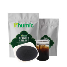 100% water soluble seaweed extract for crops organic powder seaweed